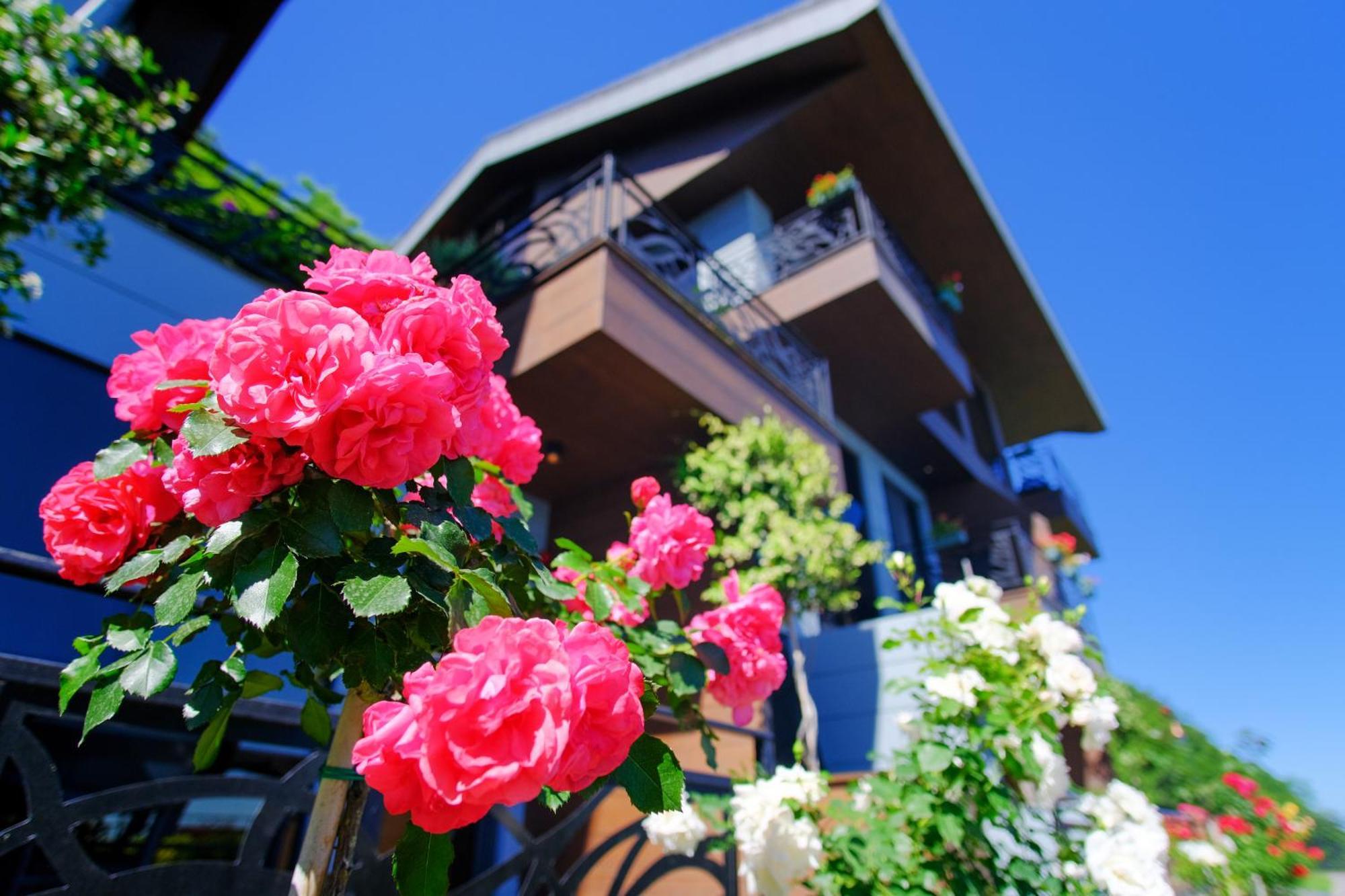 Peerless Villas Hotel Trabzon Exterior foto